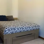 Casa Feliz